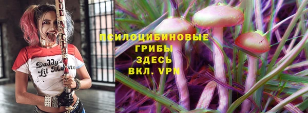 PSILOCYBIN Богданович